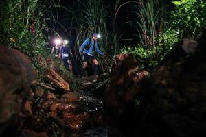 BIB: 
                            <button type="button" onclick="openModal(26413168)" class="btn btn-primary btn-sm float-right btn-popup" data-toggle="modal" data-target=".modal-high-quality">
                        <i class="fas fa-shopping-cart"></i> Add to Cart
                    </button>
                                            <button type="button" onclick="isThisMe(26413168, true)" class="btn btn-success btn-sm float-right btn-popup btn-isme hidden" data-toggle="tooltip" data-placement="bottom" title="นี่คือรูปของคุณใช่ไหม คลิกที่นี่เพื่อเอาเข้าอัลบั้ม">
                        <i class="fas fa-plus"></i> Add to album
                    </button>
                    <button type="button" onclick="isThisMe(26413168, false)" class="btn btn-warning btn-sm float-right btn-popup btn-isnotme hidden">
                        <i class="fas fa-ban"></i> Remove from album
                    </button>